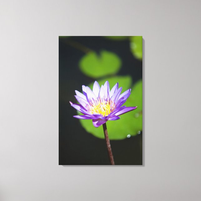 Lienzo Cancún, México (Anverso)