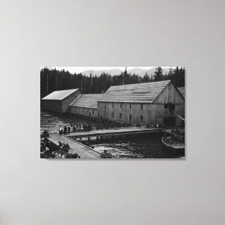 Lienzo Cañería Salmon cerca de Ketchikan, Alaska