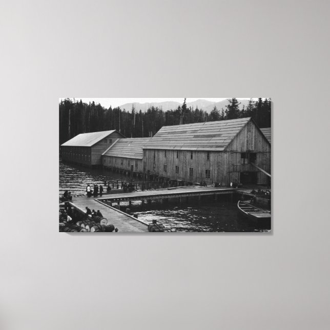 Lienzo Cañería Salmon cerca de Ketchikan, Alaska (Anverso)