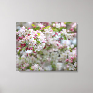 Lienzo Cangrejo-Apple de florecimiento