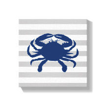 Cangrejo azul de la marina rayas grises y blancas