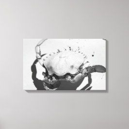 Lienzo Cangrejo marino monocromo negro y blanco