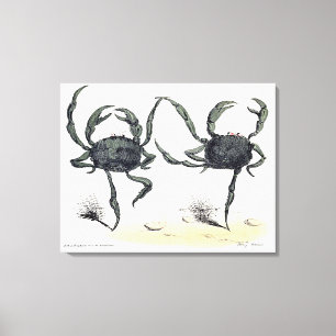 Lienzo Cangrejos del baile en el paño