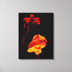 Lienzo Canna Lilies en negro