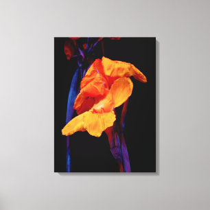 Lienzo Canna Lilies on Black With Blue