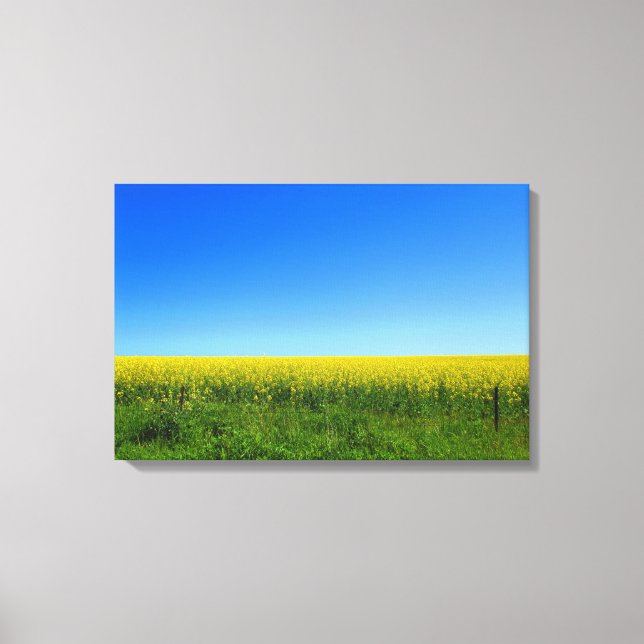 Lienzo Canola Fields (Anverso)