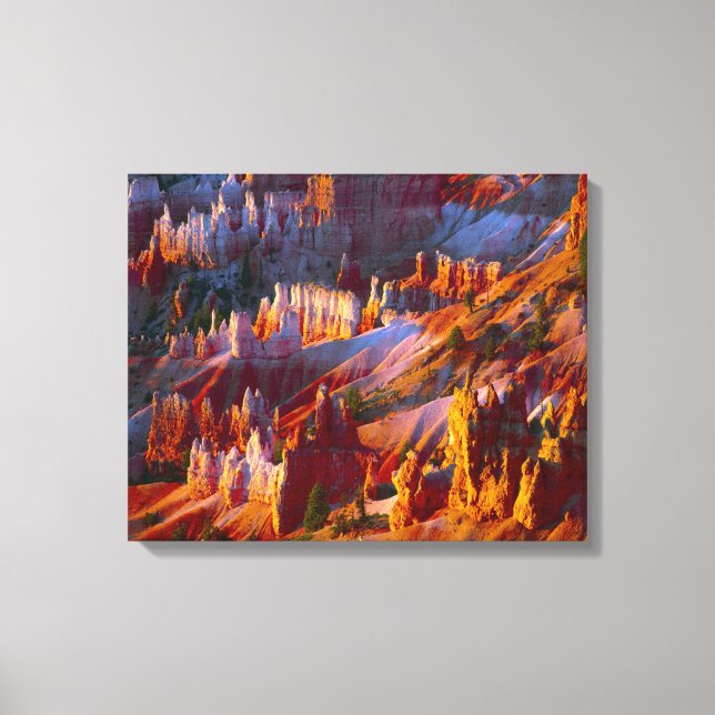 Lienzo Cañón Bryce, Utah, EE. UU. 2 (Anverso)