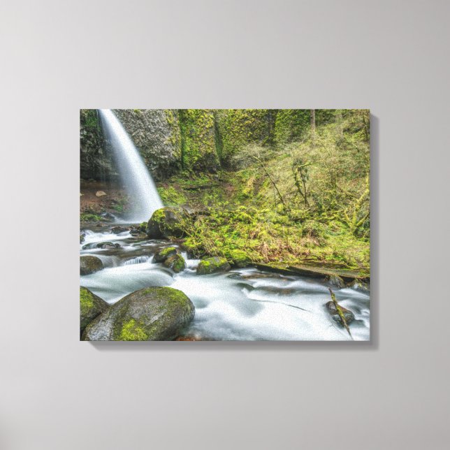 Lienzo Cañón del río Columbia, Ponytail Falls (Anverso)