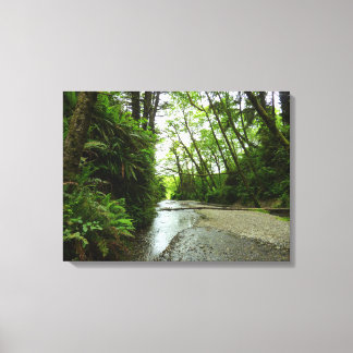 Lienzo Cañón Fern II en el Parque Nacional Redwood