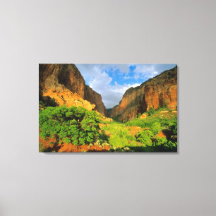 Lienzo Cañón Kolob en Zion Canyon en Zion National