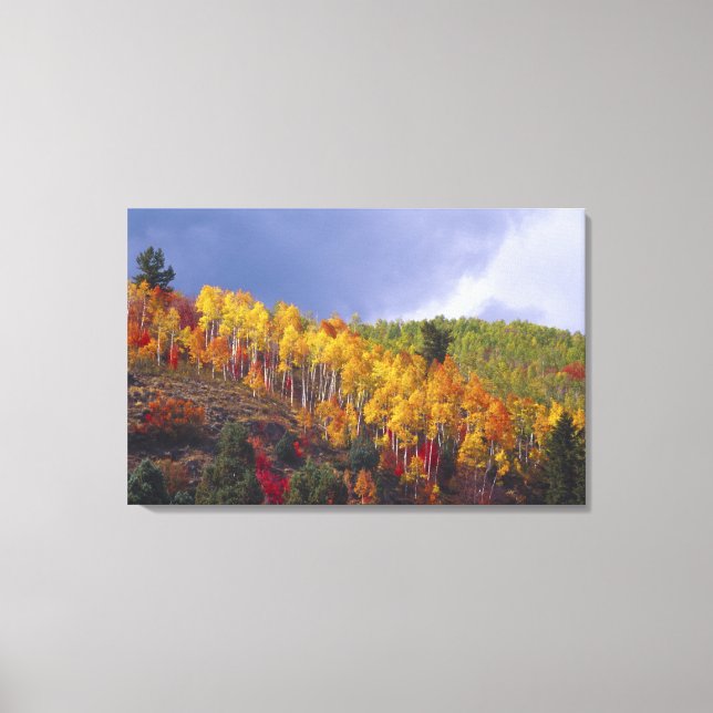 Lienzo Cañón Logan en Utah en otoño con paso (Anverso)