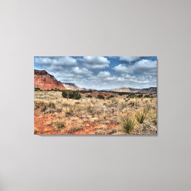 Lienzo Cañón Palo Duro, Texas (Anverso)