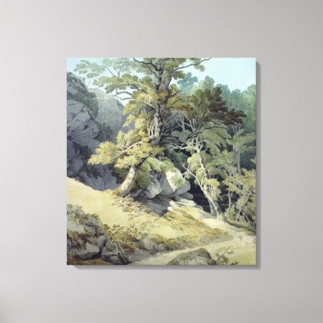 Lienzo Canontés, Devon (Anverso)