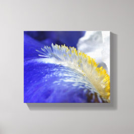 Lienzo ¡Cantando el Blues!