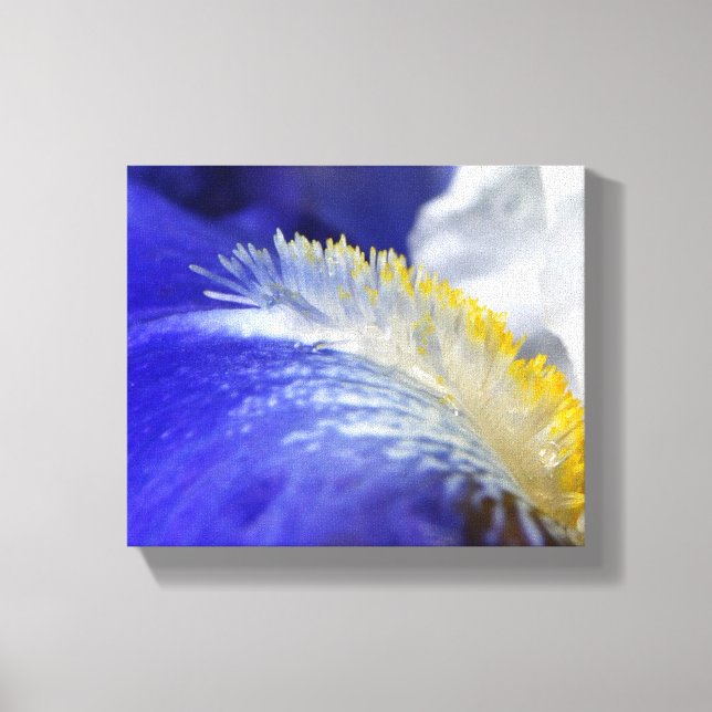 Lienzo ¡Cantando el Blues! (Anverso)