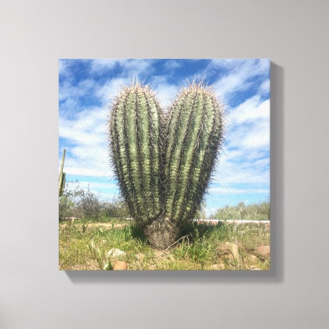 Lienzo canto de amor saguaro (Anverso)