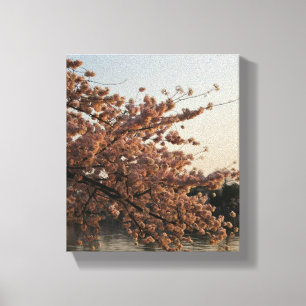 Lienzo Canto de árbol de cerezo