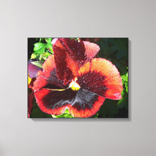 Lienzo Canto de flor de color