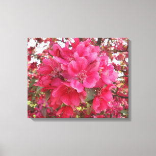 Lienzo Canto de flor de primavera