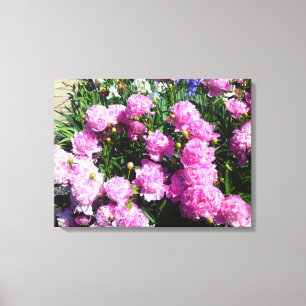 Lienzo Canto de flores de color rosa blanco