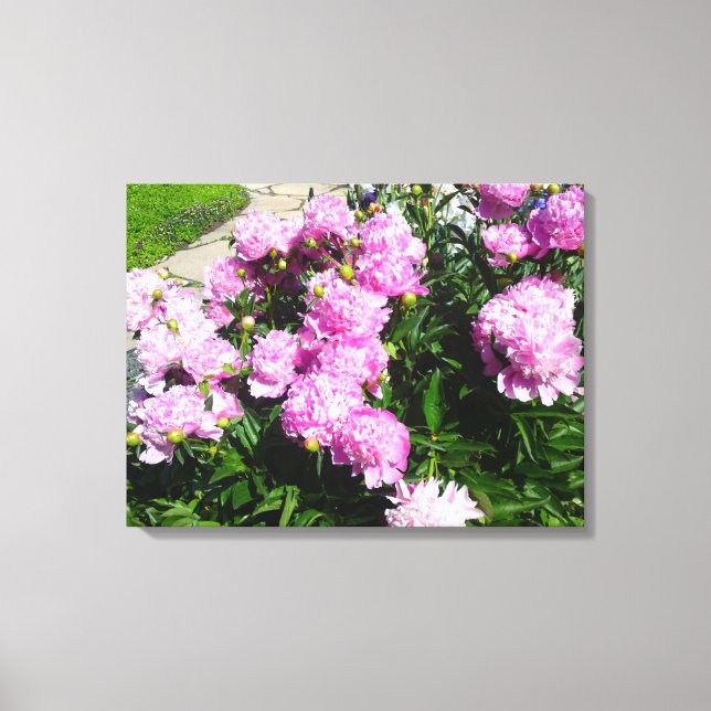 Lienzo Canto de flores de color rosa blanco (Anverso)