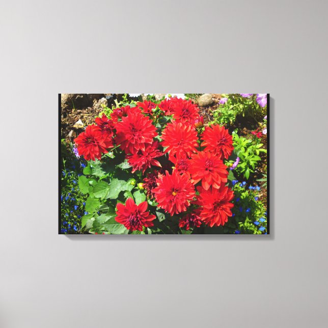 Lienzo Canto de flores Red Dahlia (Anverso)