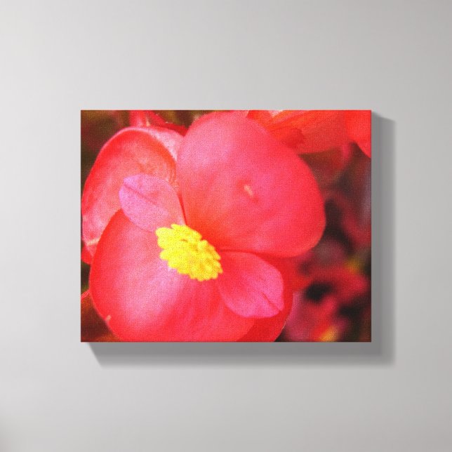 Lienzo Canto de flores rojas (Anverso)