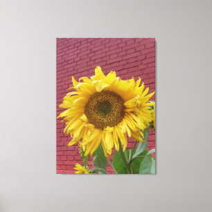 Lienzo Canto de girasol