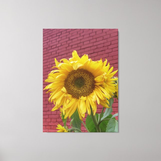 Lienzo Canto de girasol (Anverso)
