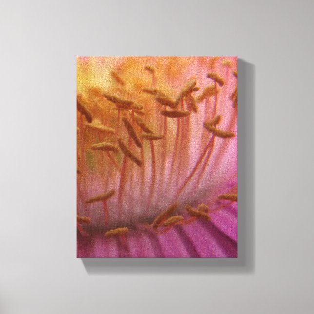 Lienzo Canto de polen de flor rosa (Anverso)