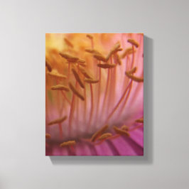 Lienzo Canto de polen de flor rosa