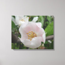 Lienzo Canto de pureza