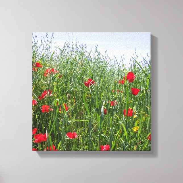 Lienzo Canto Poppy Meadow (Anverso)