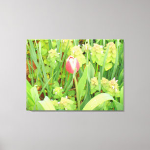 Lienzo Canto Primavera 6