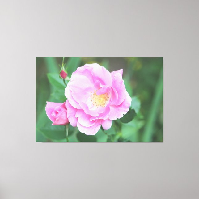 Lienzo Canto rosa rosa extra grande (Anverso)