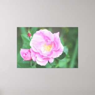 Lienzo Canto rosa rosa extra grande