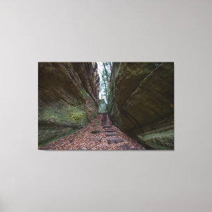 Lienzo Cantwell Cliffs, Parque Estatal Hocking Hills, Ohi