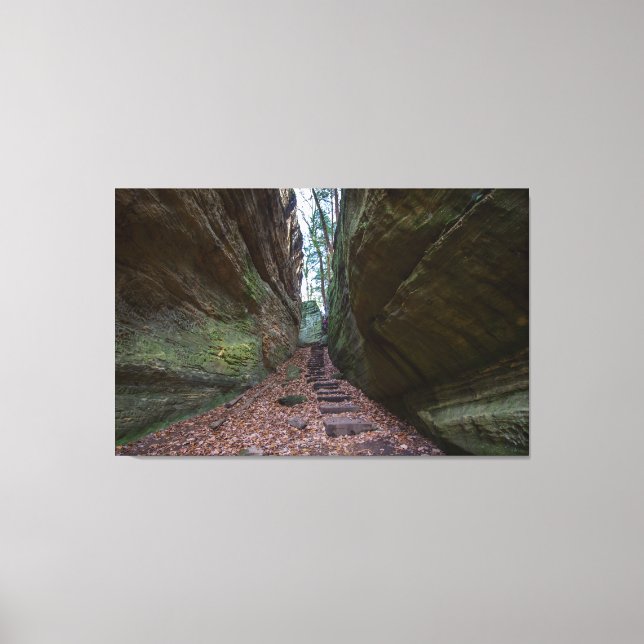 Lienzo Cantwell Cliffs, Parque Estatal Hocking Hills, Ohi (Anverso)