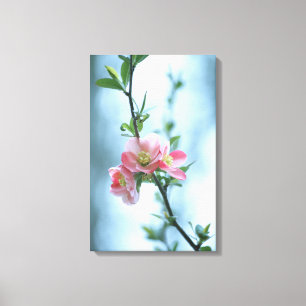 Lienzo Canvas Apple Blossom #P0365
