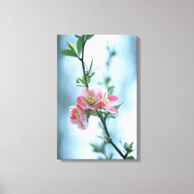 Lienzo Canvas Apple Blossom #P0365 (Anverso)