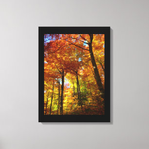 Lienzo Canvas Art-Autumn Trees