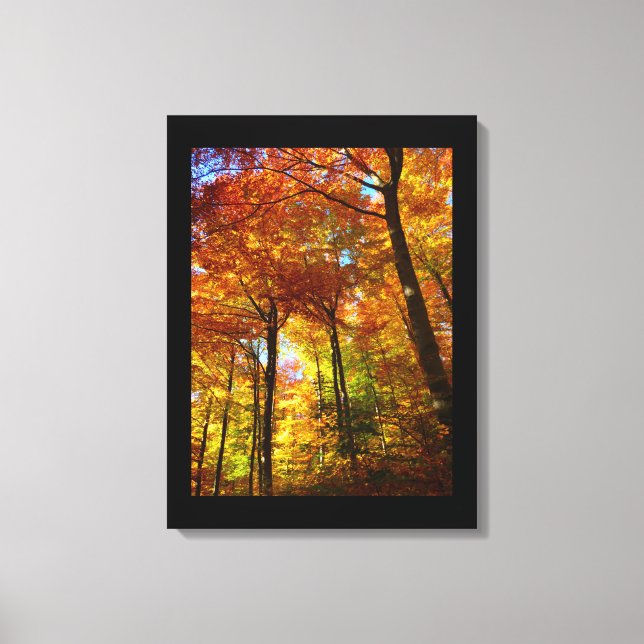Lienzo Canvas Art-Autumn Trees (Anverso)