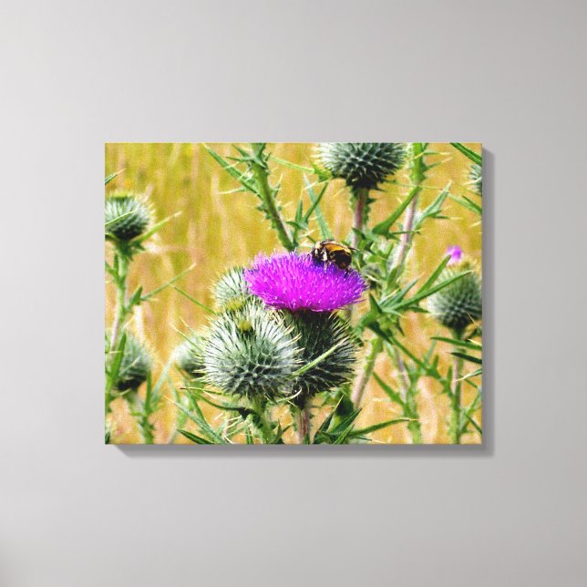 Lienzo Canvas Art Bee on Thistle (Anverso)