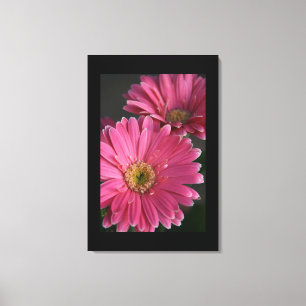 Lienzo Canvas Art-Pink Daisies