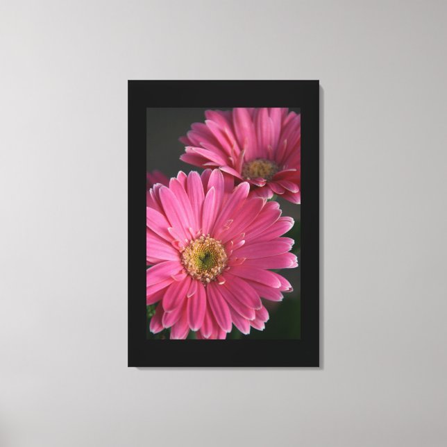 Lienzo Canvas Art-Pink Daisies (Anverso)
