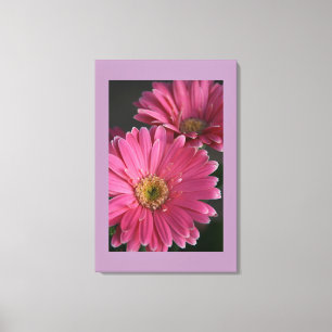 Lienzo Canvas Art-Pink Daisies