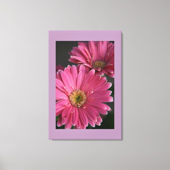 Lienzo Canvas Art-Pink Daisies (Anverso)