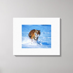 Lienzo Canvas Art-Tiger
