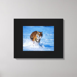 Lienzo Canvas Art-Tiger