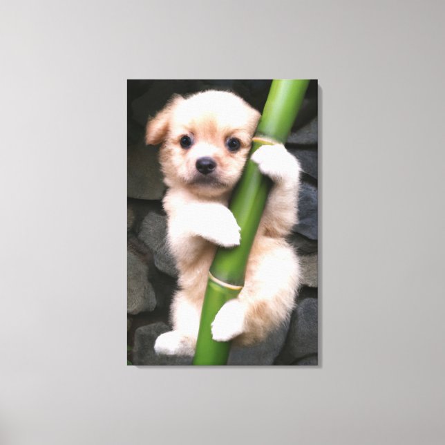 Lienzo Canvas Cute Puppy Gaejook 개죽이  (Anverso)